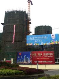 中国成都唐人街（2期）实景图4-1