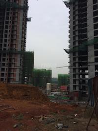 星雅俊园实景图6.12