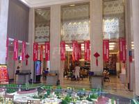 蓝光乐彩城效果图实景图
