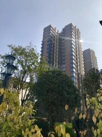 铂悦郡1期实景图实景图