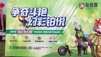 铂悦郡1期活动图活动图