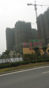 香城榕园实景图6.5