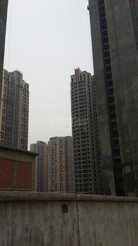 理宫实景图工程进度