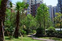 莱茵北郡2期实景图二期实景