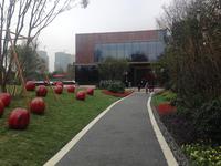 海伦春天实景图实景图
