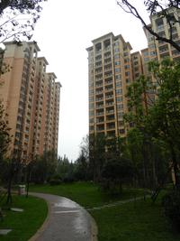 财信上河新界实景图园林实景