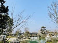 绿城川菜蜀香广场3期实景图实景图