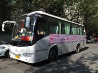 朝阳朗香广场活动图相亲活动3