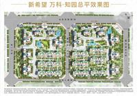 知园1期效果图总平图