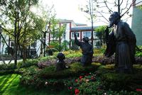 东山国际新城青年广场实景图实景4