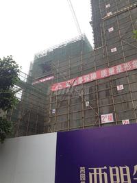 西门先生实景图2014-6-11
