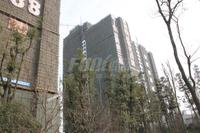 信和御龙山实景图实景