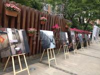 富力桃园1期活动图摄影展