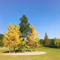 雅居乐陇海.九麓项目一期实景图三郎一角