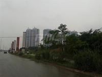 首创万卷山实景图2014-6-13