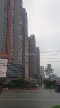 中铁丽景书香1期实景图6-17