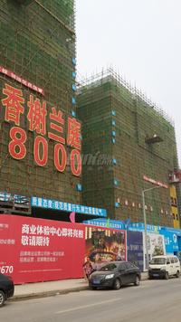 香榭兰庭实景图工程进度