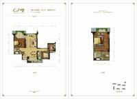 四海逸家3期户型图C2户型.jpg