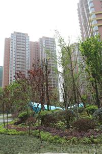 天邑宏御花园实景图实景图