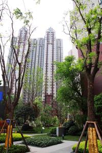 万科海悦汇城实景图一期实景图