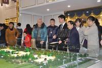 王府花园三期活动图活动图