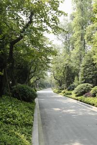 欧香小镇4期实景图园区景观图