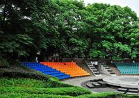 檀香山公园里实景图实景图