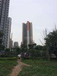 卓锦城6期紫红双郡实景图6.12