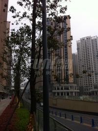 龙湖时代天街实景图3-26