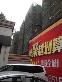 神仙树缤纷实景图2014-6-30