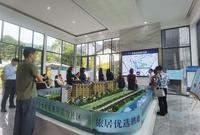 山水涧1期活动图活动