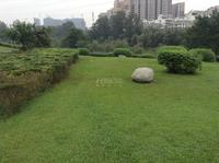 沙河名仕公馆配套图沙河公园一角
