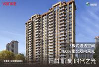 万科时代之光1期效果图效果图