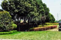 邦泰华府公馆实景图工程进度