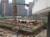 缤纷年华实景图工程进度