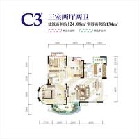 通瑞月光湖户型图通瑞月光湖电梯户型图C3`三室两厅两卫124.08㎡.jpg