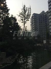 水都新城实景图工地实景图