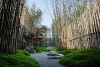 天府兰台雅园实景图售楼部实景图