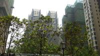 利通时代晶座2期实景图6-18
