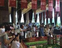 蓝润光华春天活动图活动图