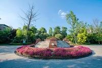 棠湖泊林城实景图实景图