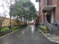 大溪地实景图实景图