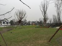 保利西子城实景图项目实景图