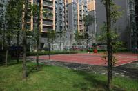 博盛康郡实景图小区实景图