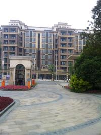 剑桥小镇2期实景图2014-5-9