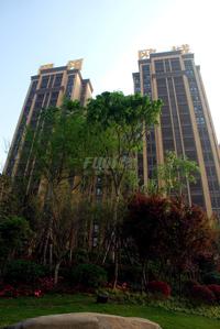 爵领欧城实景图实景图