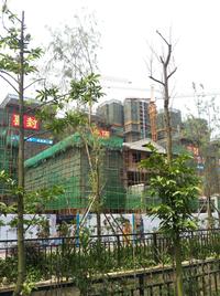 昌建星悦城实景图6-18