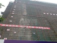 西门先生实景图2014-6-11