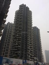 红树湾2期实景图工程进度
