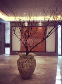 万科国宾润园实景图售楼部实景图